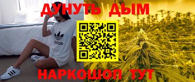 индика Донецк