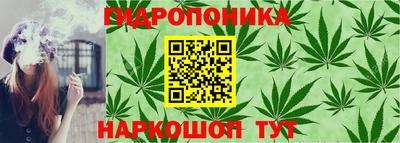 индика Донецк
